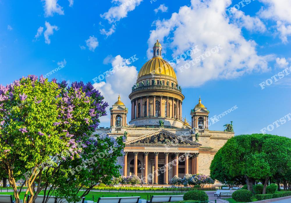 На фотографии изображен Исаакиевский собор, один из символов Санкт-Петербурга, окруженный зеленью и цветущей сиренью. Золотой купол собора выделяется на фоне ясного голубого неба. Просторная площадь и цветущие деревья создают атмосферу уюта и гармонии. Летняя погода делает архитектурный ансамбль особенно живописным.